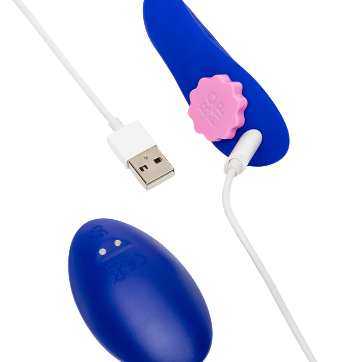 Romp Party Remote Controlled Panty Vibrator