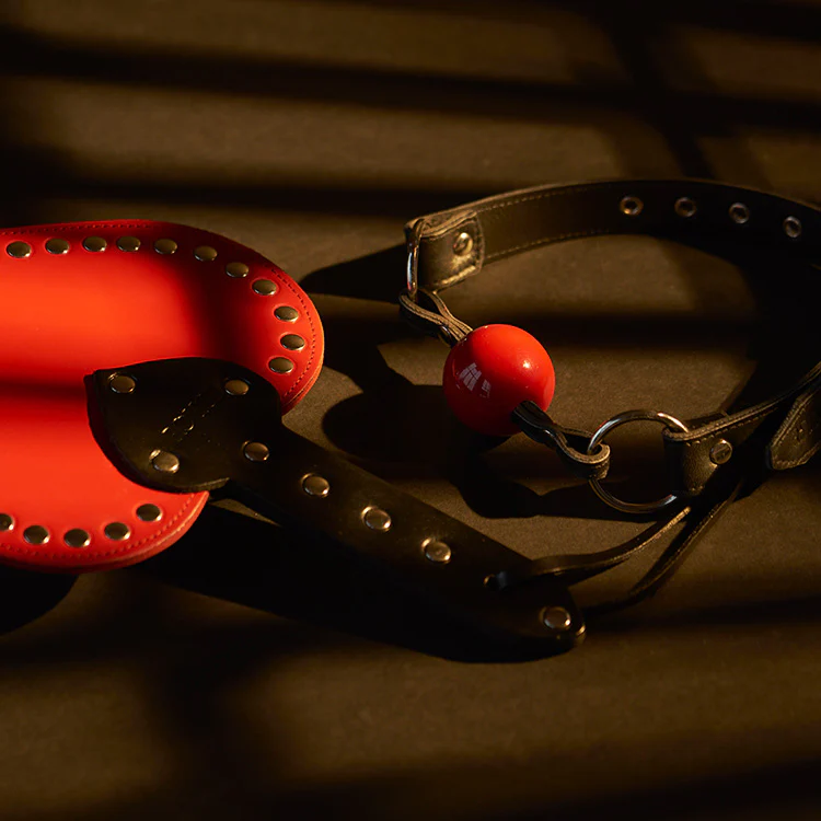 Rouge Leather Ball Gag with Red Ball