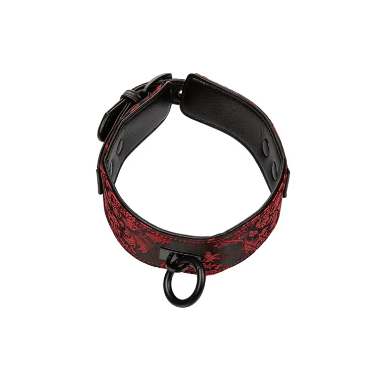 Scandal Collar with Leash