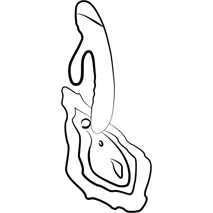 178-romp-jazz-dual-action-vibrator-7.webp Romp Jazz Dual Action Vibrator