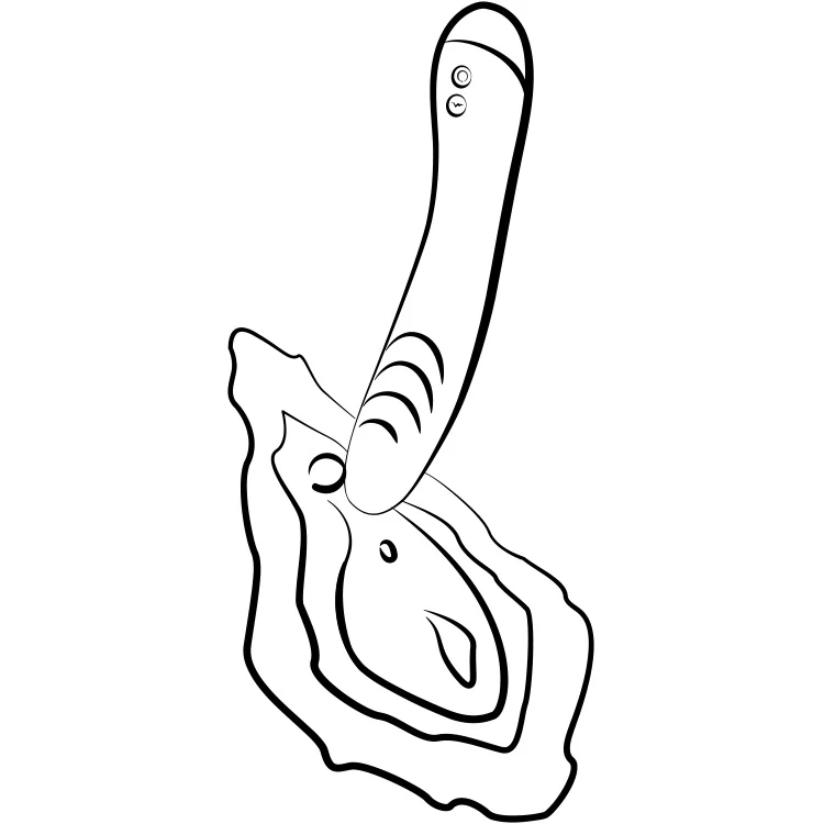 1790-romp-hype-g-spot-vibrator-6.webp Romp Hype G-Spot Vibrator