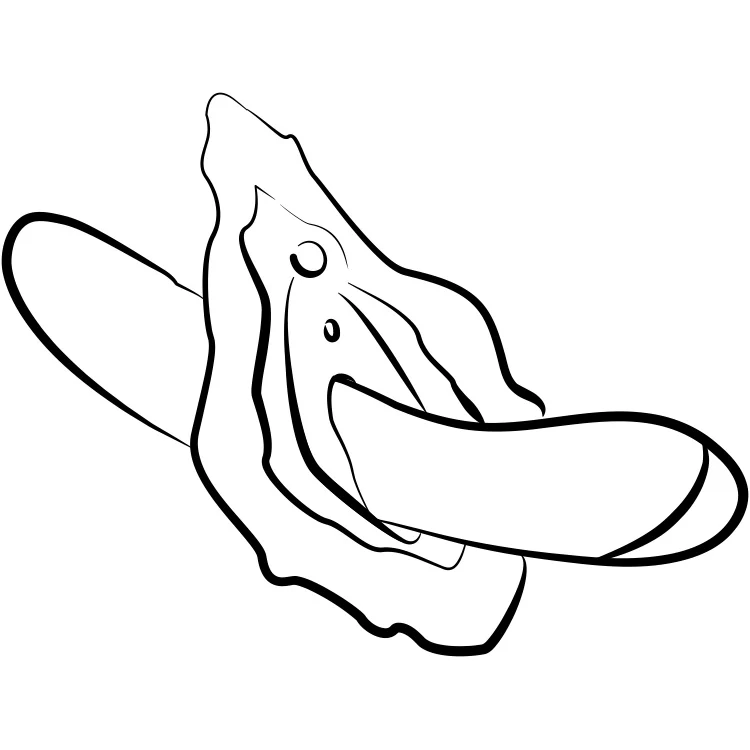 1790-romp-hype-g-spot-vibrator-7.webp Romp Hype G-Spot Vibrator