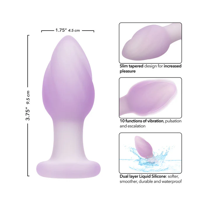 2464-lavender-haze-ridge-vibrating-butt-plug-6.webp Lavender Haze Ridge Vibrating Butt Plug