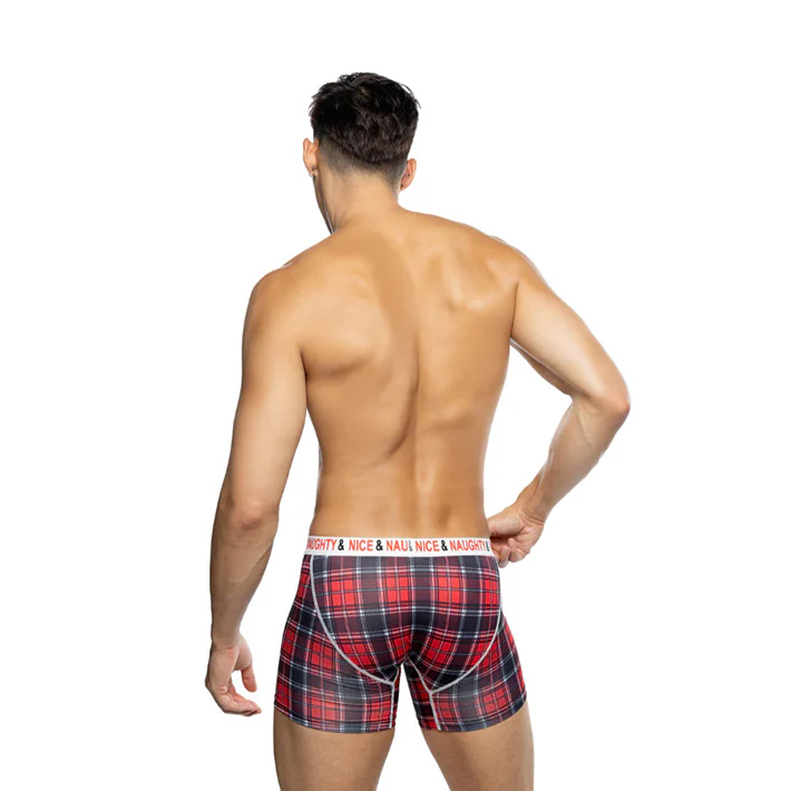Naughty & Nice Boxer Briefs