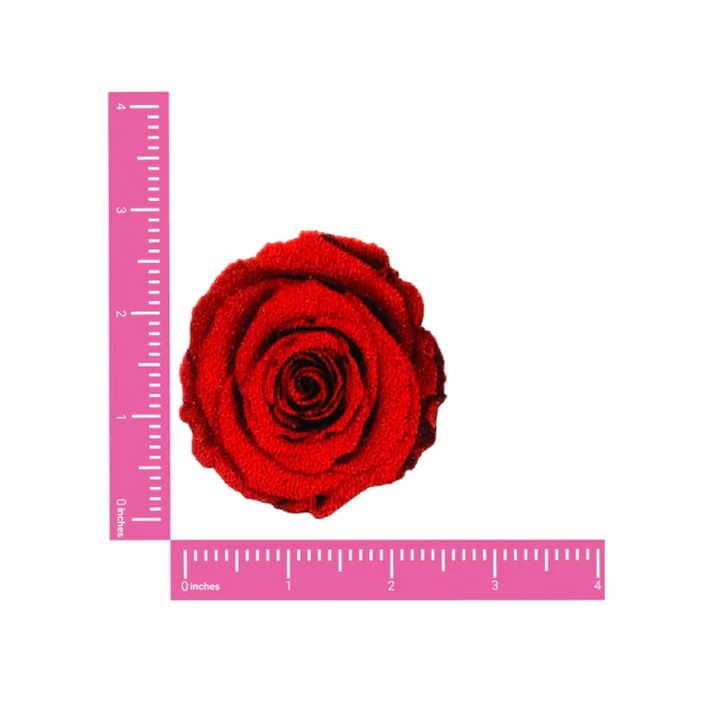 3292-roses-are-red-glitter-nipple-pasties-3.webp Roses Are Red Glitter Nipple Pasties