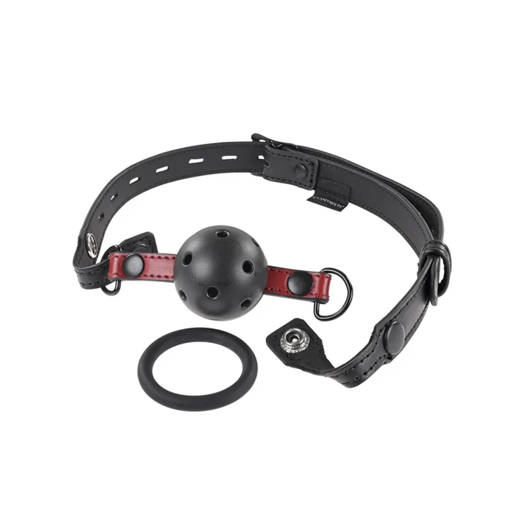 Saffron 2pc Interchangeable Gag