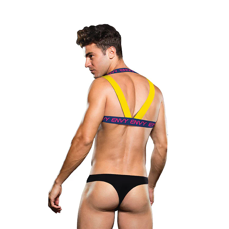 4228-envy-logo-harness-4.webp Envy Logo Harness