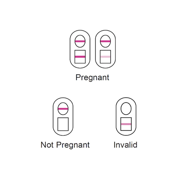 5246-versea-easy-lab-pregnancy-test-3.webp Verséa Easy Lab Pregnancy Test